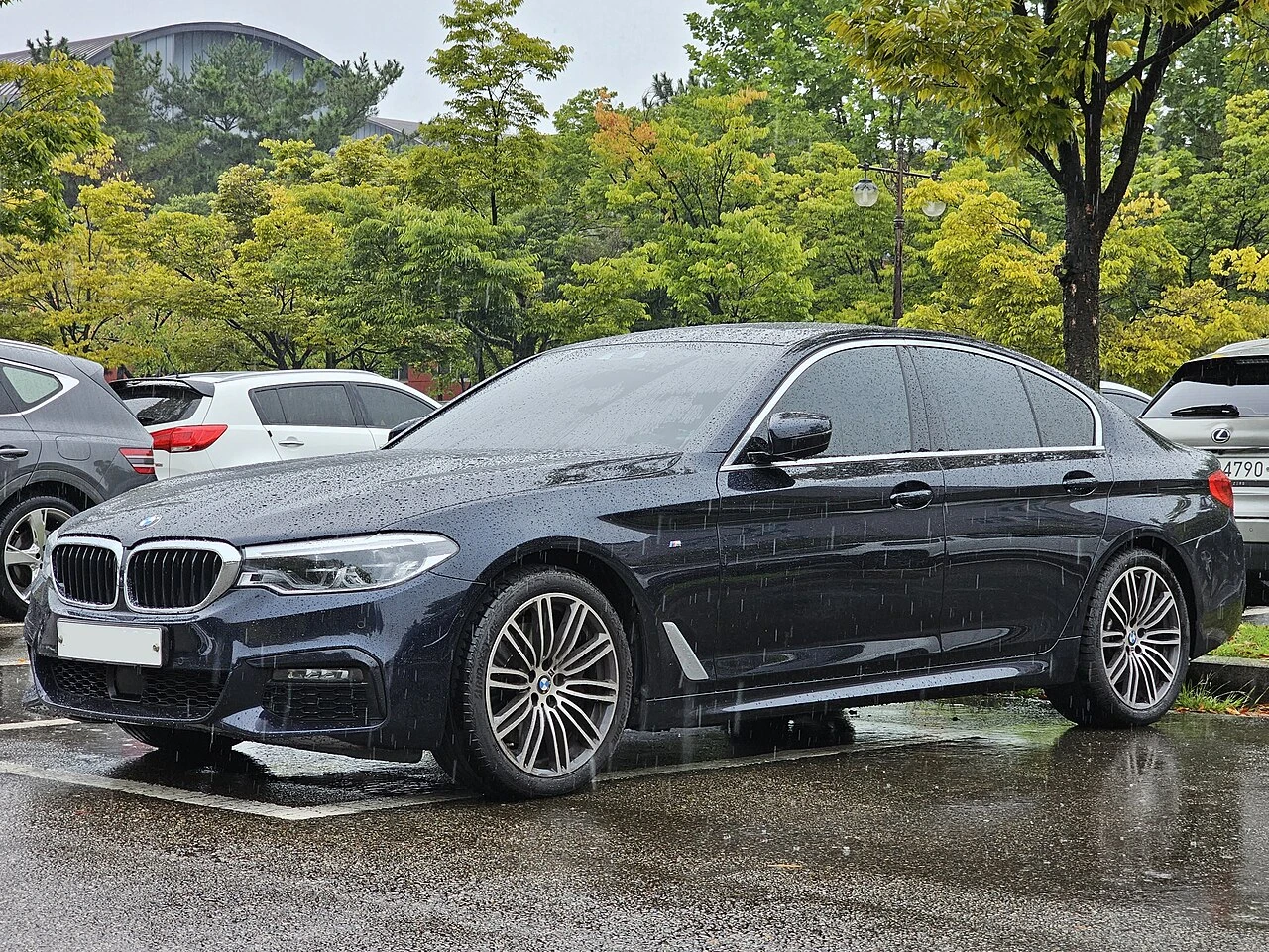 Pareri : BMW Seria 5 G30 ( 2017 - 2023 )