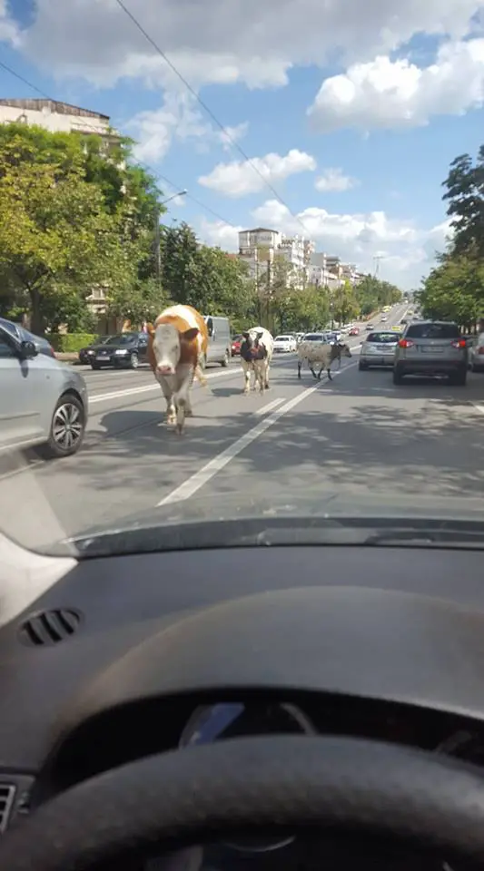 Metode pentru un trafic mai usor