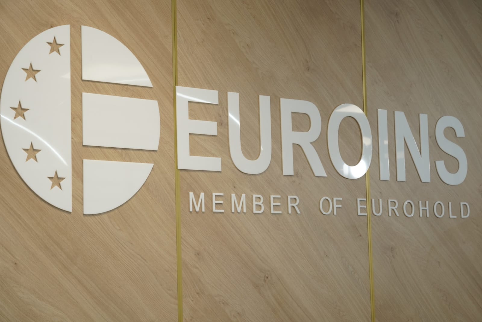 Euroins pe urmele City Insurance