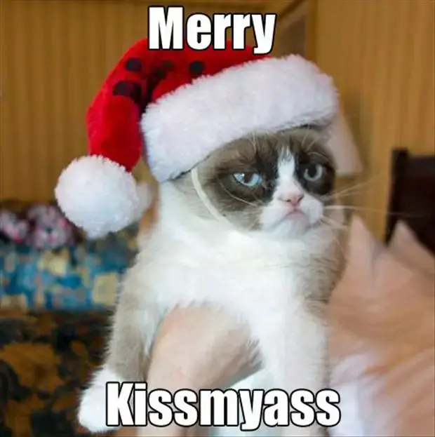 grumpy-cat-merry-kiss-my-ass-funny