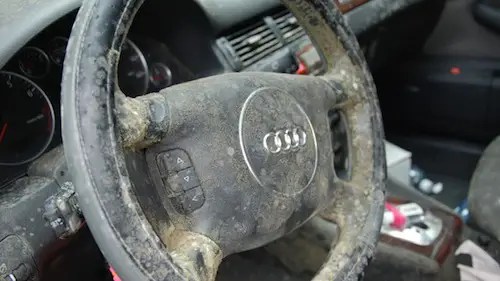 mold-car-interior